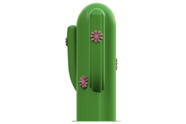 1125 9358 Cactus Front